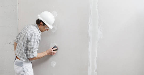 Professional Mold Removal in Clarksville, TN