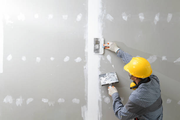 Best Air Quality Testing for Mold Spores  in Clarksville, TN